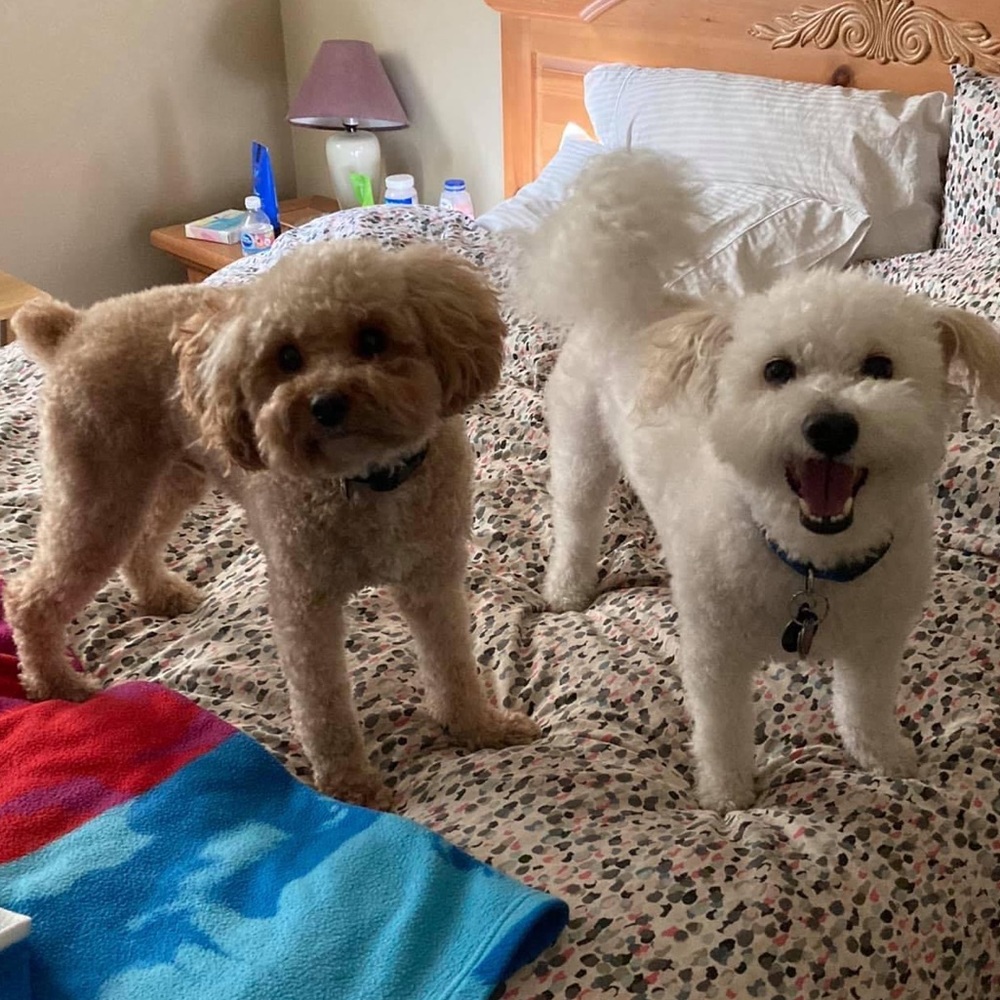 Hi I’m Lisa.  Loving Poshmark!   Open to all offers. Thanks !